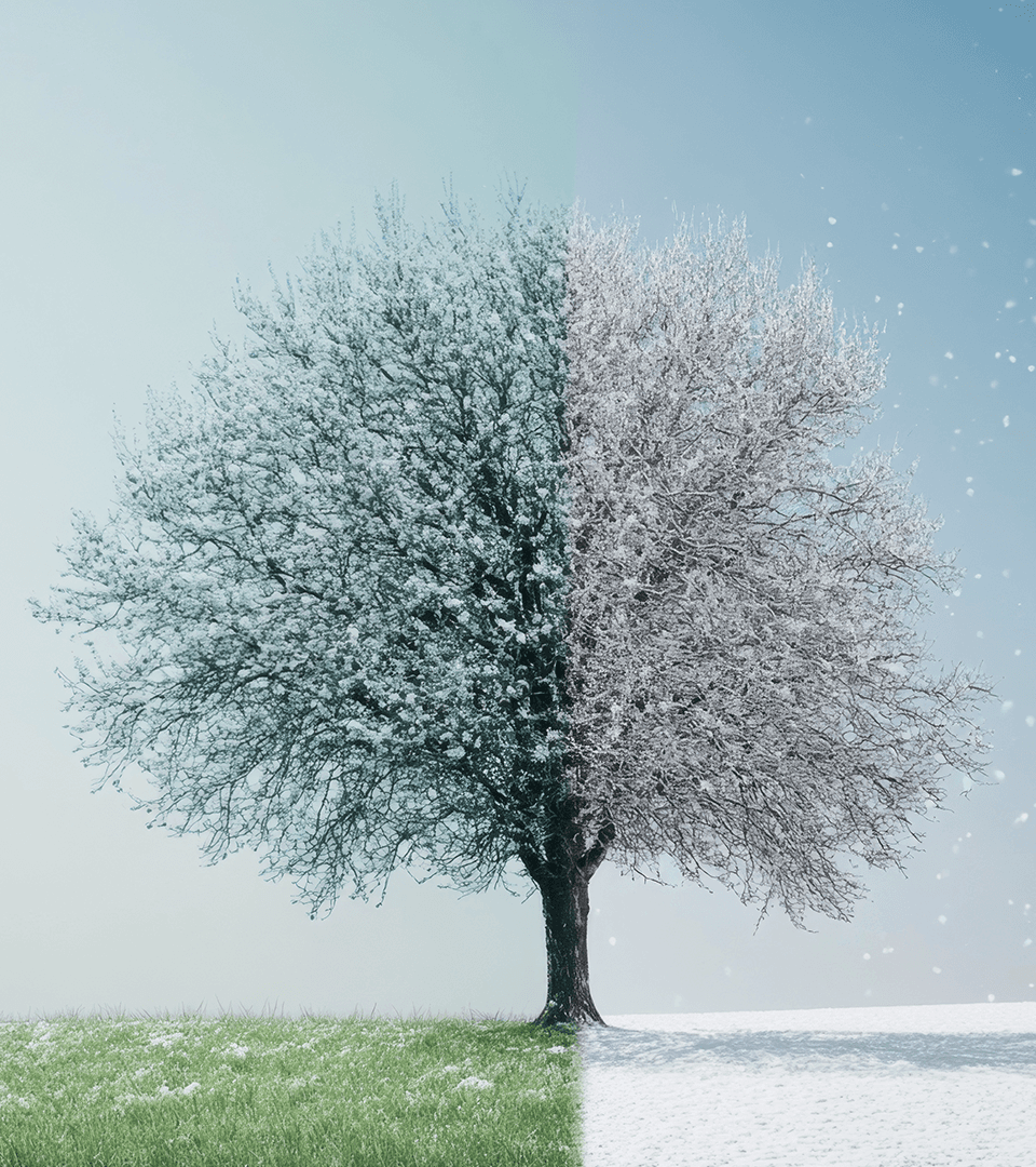 Placeholder Image Extreme Weather Environment